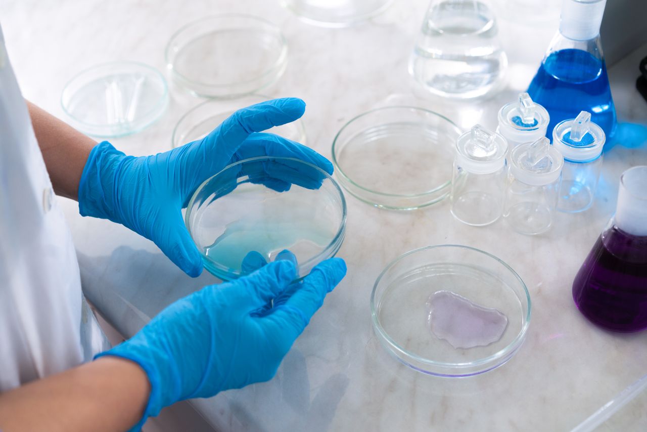 Services 1 Close-up of a scientist with blue gloves working with petri dishes in a laboratory setting.